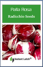 Load image into Gallery viewer, Radicchio Seeds for Planting Palla Rosa Heirloom Fresh Garden Seeds