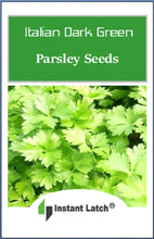 Load image into Gallery viewer, Italian Parsley Dark Green Flat Leaf Seeds for Planting NON-GMO Fresh Garden Seeds