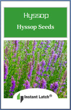 Load image into Gallery viewer, Hyssop Seeds for Planting NON-GMO Heirloom Fresh Flower Seeds