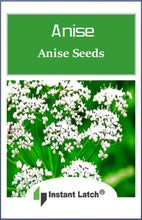 Load image into Gallery viewer, Anise Seeds for Planting NON-GMO Heirloom Fresh Garden Seeds