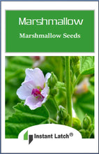 Load image into Gallery viewer, Marshmallow Seeds for Planting NON-GMO Heirloom Fresh Garden Seeds