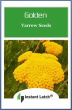 Load image into Gallery viewer, Golden Yarrow Seeds for Planting NON-GMO Heirloom Fresh Garden Seeds