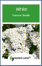 Load image into Gallery viewer, White Yarrow Seeds for Planting NON-GMO Heirloom Fresh Garden Seeds
