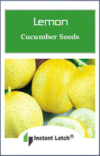 Load image into Gallery viewer, 50 Lemon Cucumber Seeds for Planting NON-GMO Heirloom Fresh Garden Seeds