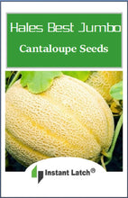 Load image into Gallery viewer, Hales Best Jumbo Cantaloupe Seeds | NON-GMO | Instant Latch Fresh Garden Seeds