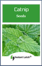 Load image into Gallery viewer, Catnip Seeds for Planting NON-GMO Catnip Seeds Fresh Herb Perrenial Seeds