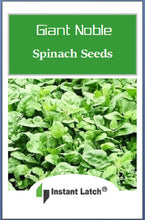 Load image into Gallery viewer, Giant Noble Spinach Seeds for Planting NON-GMO Fresh Garden Seeds