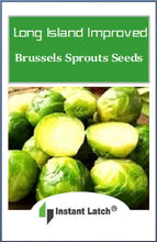 Load image into Gallery viewer, Long Island Brussels Sprouts Seeds for Planting NON-GMO Fresh Garden Seeds