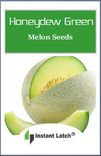 Load image into Gallery viewer, Honeydew Green Melon Seeds for Planting NON-GMO Fresh Garden Seeds