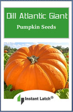 Load image into Gallery viewer, Dills Atlantic Giant Pumpkin Seeds for Planting Non GMO Heirloom Seeds Fresh Garden Seed