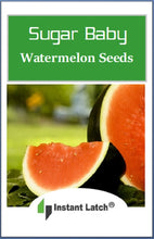 Load image into Gallery viewer, Sugar Baby Watermelon | NON-GMO | Instant Latch Fresh Garden Seeds