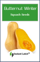 Load image into Gallery viewer, Butternut Winter Squash Seeds | NON-GMO | Fresh Garden Seeds