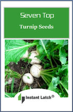 Load image into Gallery viewer, Seven Top Turnip Seeds | NON_GMO | Fresh Garden Seeds