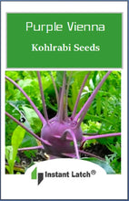 Load image into Gallery viewer, Purple Vienna Kohlrabi Seeds for Planting NON-GMO Fresh Garden Seeds