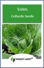 Load image into Gallery viewer, Vates Collards Seeds for Planting  NON-GMO Fresh Garden Seeds