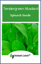 Load image into Gallery viewer, TenderGreen Mustard Spinach Seeds for Planting NON-GMO Fresh Garden Seeds