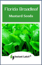 Load image into Gallery viewer, Florida Broadleaf Mustard Seeds | NON-GMO | Fresh Garden Seeds