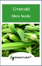 Load image into Gallery viewer, Emerald Okra Seeds | NON-GMO | Heirloom | Fresh Garden Seeds