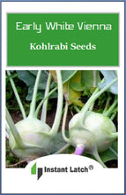 Load image into Gallery viewer, Early White Vienna Kohlrabi Seeds | NON-GMO | Heirloom | Fresh Garden Seeds