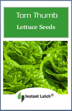 Load image into Gallery viewer, Tom Thumb Lettuce Seeds for Planting NON-GMO Heirloom Fresh Garden Seeds