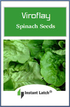 Load image into Gallery viewer, Viroflay Spinach Seeds for Planting NON-GMO Heirloom Fresh Garden Seeds