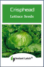 Load image into Gallery viewer, Crisphead Great Lakes Lettuce Seeds | NON-GMO | Heirloom | Fresh Garden Seeds