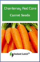 Load image into Gallery viewer, Chantenay Red Core Carrot Seeds | NON-GMO | Heirloom | Fresh Garden Seeds