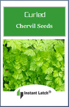 Load image into Gallery viewer, Curled Chervil Seeds | NON-GMO | Heirloom | Fresh Garden Seeds