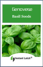 Load image into Gallery viewer, Genovese Basil Seeds for Planting NON-GMO Heirloom Fresh Garden Seeds