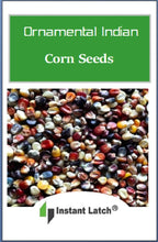Load image into Gallery viewer, Ornamental Indian Corn Seeds for Planting Heirloom Fresh Garden Seeds