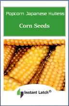 Load image into Gallery viewer, Popcorn Japanese Hullness Corn Seeds for Planting Heirloom Fresh Garden Seeds