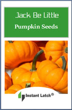 Load image into Gallery viewer, Jack Be Little Pumpkin Seeds | NON-GMO | Heirloom | Fresh Garden Seeds