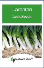 Load image into Gallery viewer, Carantan Leek Seeds | NON-GMO | Heirloom | Fresh Garden Seeds
