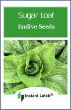 Load image into Gallery viewer, Sugar Loaf Endive Seeds for Planting NON-GMO Heirloom Fresh Garden Seeds