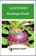 Load image into Gallery viewer, Rutabaga Seeds | Laurentian | NON-GMO | Heirloom | Fresh Garden Seeds