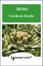 Load image into Gallery viewer, White Cardoon Seeds for Planting NON-GMO Heirloom Fresh Garden Seeds