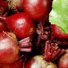 Load image into Gallery viewer, Dark Red Detroit Beet Seeds | NON-GMO | Instant Latch Fresh Garden Seeds