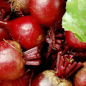 Dark Red Detroit Beet Seeds | NON-GMO | Instant Latch Fresh Garden Seeds