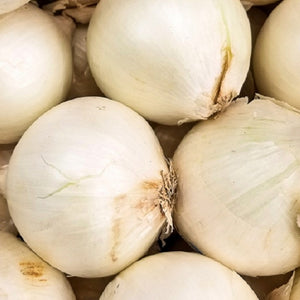 Early White Grano PRR Onion Seeds | NON-GMO | Heirloom | Fresh Garden Seeds