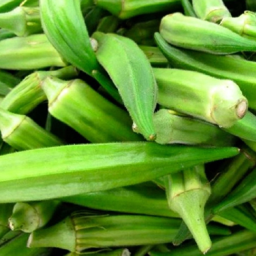 Emerald Okra Seeds | NON-GMO | Heirloom | Fresh Garden Seeds