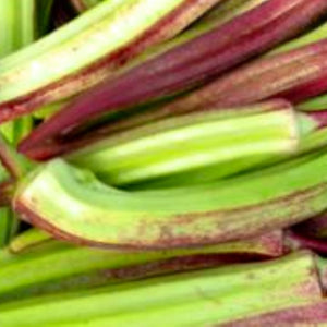 Hill Country Red Okra Seeds | NON-GMO | Heirloom | Fresh Garden Seeds