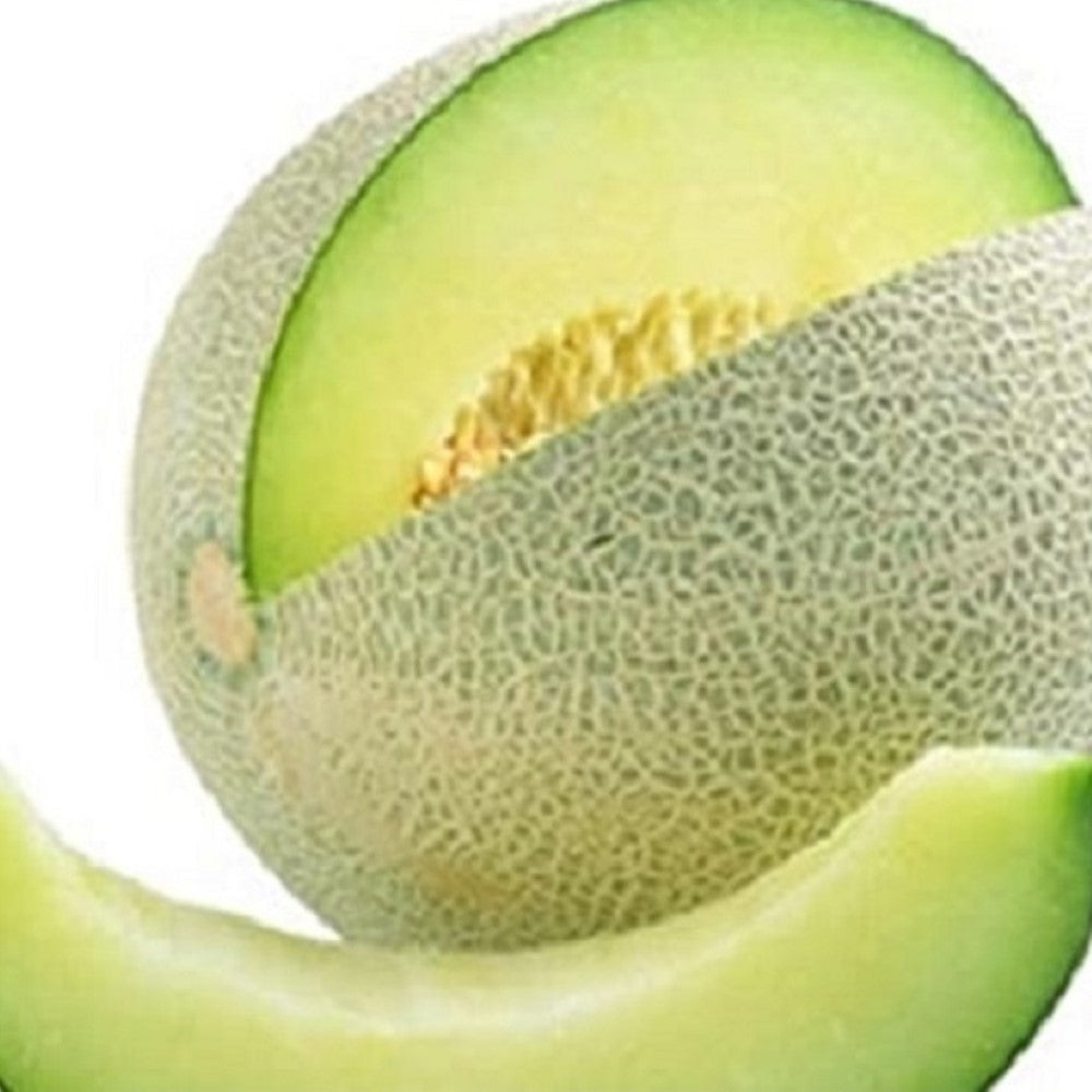 Honeydew Green Melon Seeds | NON-GMO | Instant Latch Fresh Garden Seed