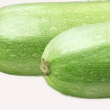 Load image into Gallery viewer, Italian Squash Zucchini Seeds | NON-GMO | Heirloom | Fresh Garden Seeds