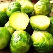Load image into Gallery viewer, Long Island Brussels Sprouts Seeds | NON-GMO | Instant Latch Fresh Garden Seeds