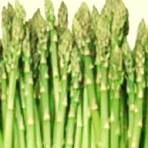 Mary Washington Asparagus Seeds | NON-GMO | Instant Latch Fresh Garden Seeds