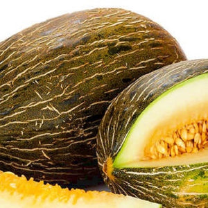 Piel de Sapo Melon Seeds | NON-GMO | Heirloom | Fresh Garden Seeds