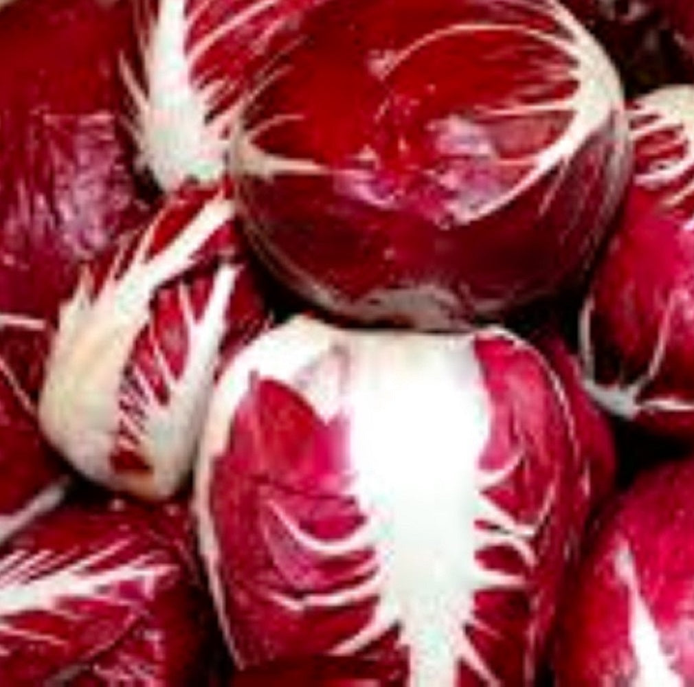 Radicchio Seeds | Palla Rosa | Heirloom | Fresh Garden Seeds