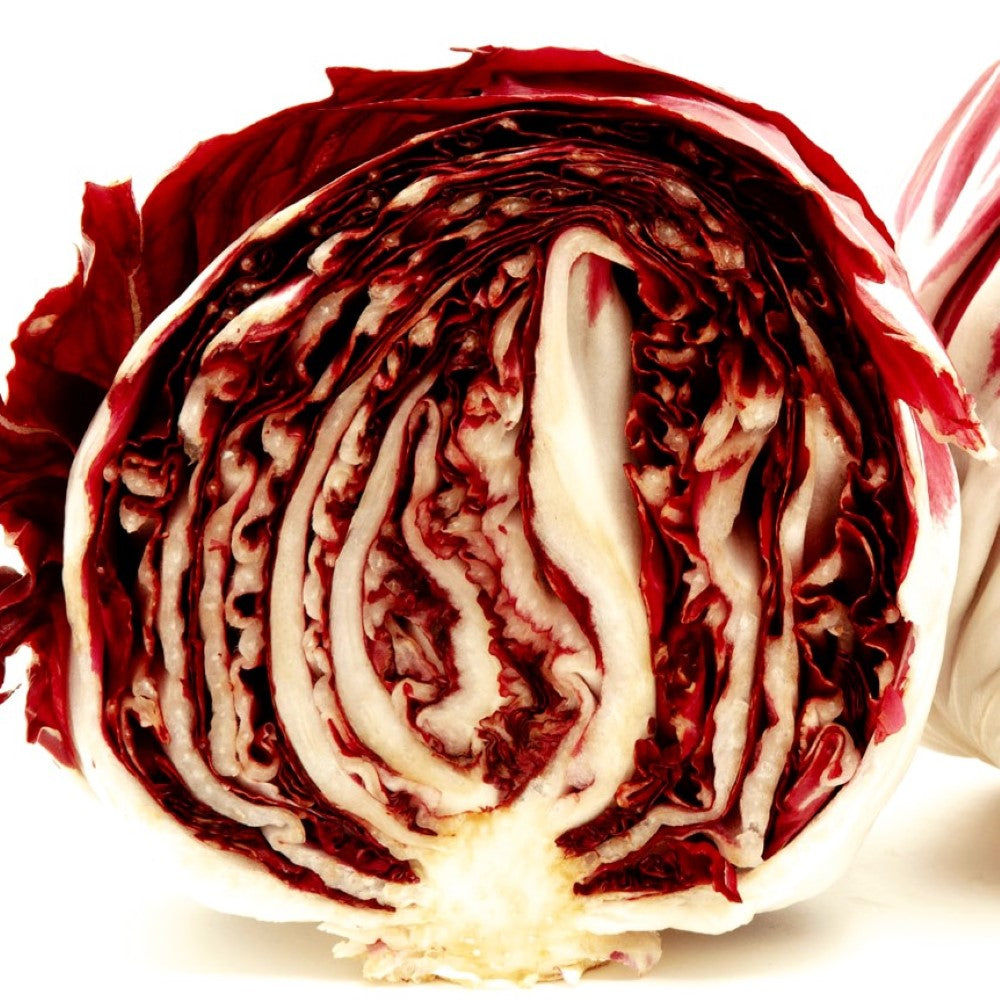 Radicchio Seeds | Rouge de Verona | Heirloom | Fresh Garden Seeds