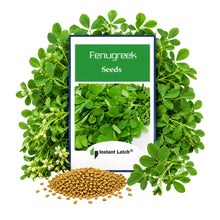 Load image into Gallery viewer, Fenugreek Seeds | NON-GMO | Heirloom | Fresh Garden Seeds