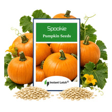 Load image into Gallery viewer, Spookie Pumpkin Seeds for Planting NON-GMO Heirloom Fresh Garden Seeds